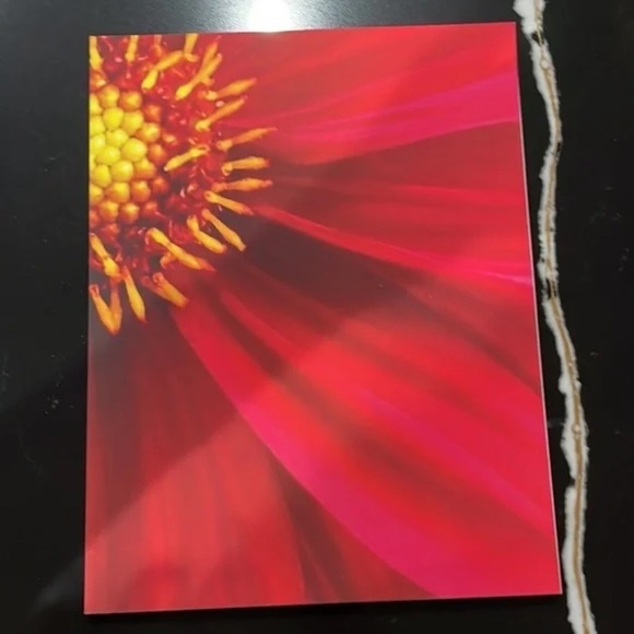 SET: THREE PAPER NOTEBOOKS/ JOURNALS FLOWERS: Personal Journal, NOTES, Red 🌹 - Picture 5 of 10